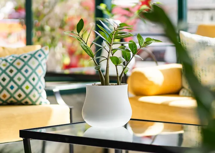 Hovima Panorama Ξενοδοχείο Costa Adeje (Tenerife)